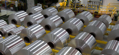 Shandong Hongxin International Trade Co., LTD. 工場生産ライン